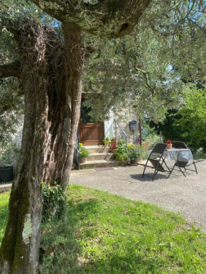 la casetta di Vacone